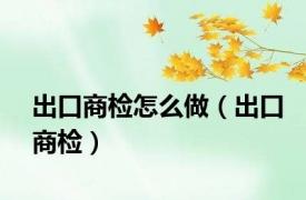 出口商检怎么做（出口商检）