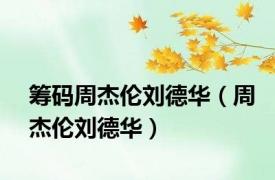 筹码周杰伦刘德华（周杰伦刘德华）