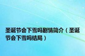 圣诞节会下雪吗剧情简介（圣诞节会下雪吗结局）