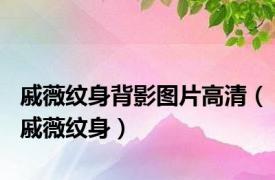 戚薇纹身背影图片高清（戚薇纹身）