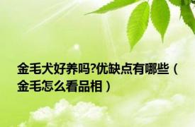 金毛犬好养吗?优缺点有哪些（金毛怎么看品相）