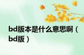 bd版本是什么意思啊（bd版）