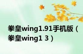 拳皇wing1.91手机版（拳皇wing1 3）