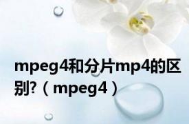 mpeg4和分片mp4的区别?（mpeg4）