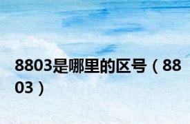8803是哪里的区号（8803）