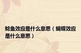 鲶鱼效应是什么意思（蝴蝶效应是什么意思）