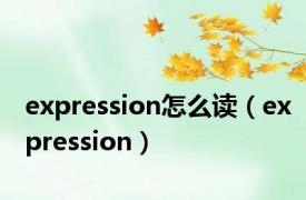 expression怎么读（expression）