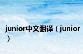 junior中文翻译（junior）