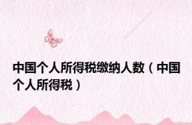 中国个人所得税缴纳人数（中国个人所得税）