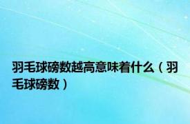 羽毛球磅数越高意味着什么（羽毛球磅数）