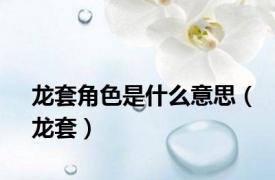 龙套角色是什么意思（龙套）