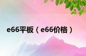e66平板（e66价格）