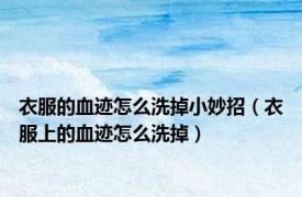 衣服的血迹怎么洗掉小妙招（衣服上的血迹怎么洗掉）