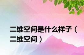 二维空间是什么样子（二维空间）