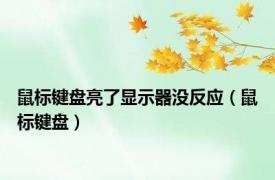 鼠标键盘亮了显示器没反应（鼠标键盘）