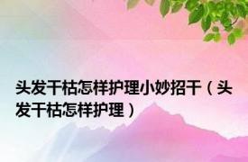 头发干枯怎样护理小妙招干（头发干枯怎样护理）