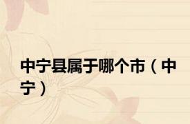 中宁县属于哪个市（中宁）