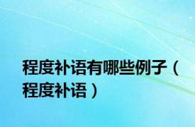 程度补语有哪些例子（程度补语）