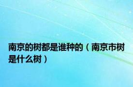 南京的树都是谁种的（南京市树是什么树）