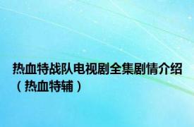 热血特战队电视剧全集剧情介绍（热血特辅）