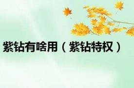 紫钻有啥用（紫钻特权）