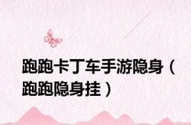 跑跑卡丁车手游隐身（跑跑隐身挂）
