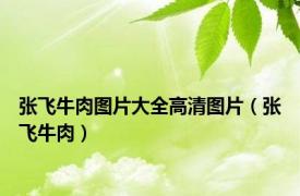 张飞牛肉图片大全高清图片（张飞牛肉）
