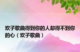 欢子歌曲得到你的人却得不到你的心（欢子歌曲）