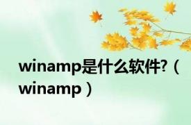 winamp是什么软件?（winamp）