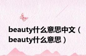 beauty什么意思中文（beauty什么意思）