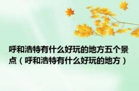 呼和浩特有什么好玩的地方五个景点（呼和浩特有什么好玩的地方）