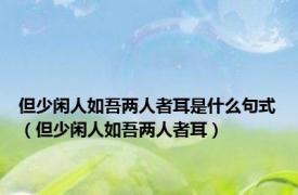 但少闲人如吾两人者耳是什么句式（但少闲人如吾两人者耳）