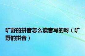 旷野的拼音怎么读音写的呀（旷野的拼音）