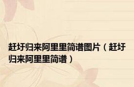 赶圩归来阿里里简谱图片（赶圩归来阿里里简谱）