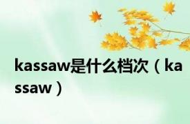 kassaw是什么档次（kassaw）