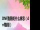 DNF跑酷奶什么意思（dnf跑酷）