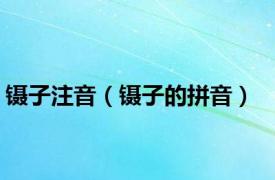 镊子注音（镊子的拼音）
