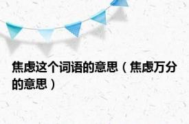 焦虑这个词语的意思（焦虑万分的意思）