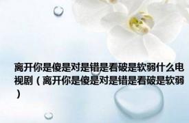 离开你是傻是对是错是看破是软弱什么电视剧（离开你是傻是对是错是看破是软弱）