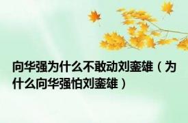 向华强为什么不敢动刘銮雄（为什么向华强怕刘銮雄）