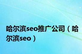 哈尔滨seo推广公司（哈尔滨seo）