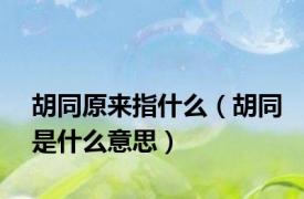 胡同原来指什么（胡同是什么意思）