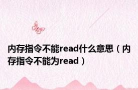 内存指令不能read什么意思（内存指令不能为read）