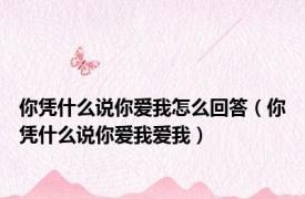 你凭什么说你爱我怎么回答（你凭什么说你爱我爱我）
