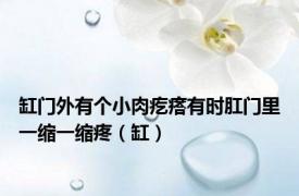 缸门外有个小肉疙瘩有时肛门里一缩一缩疼（缸）