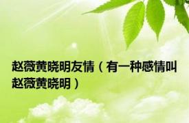 赵薇黄晓明友情（有一种感情叫赵薇黄晓明）