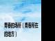 青春的场所（青春所在的地方）