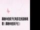 黑暗中的孩子们电影在线流畅观看（黑暗中的孩子们）