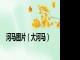 河马图片（大河马）