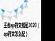 王者ap符文搭配2020（ap符文怎么配）